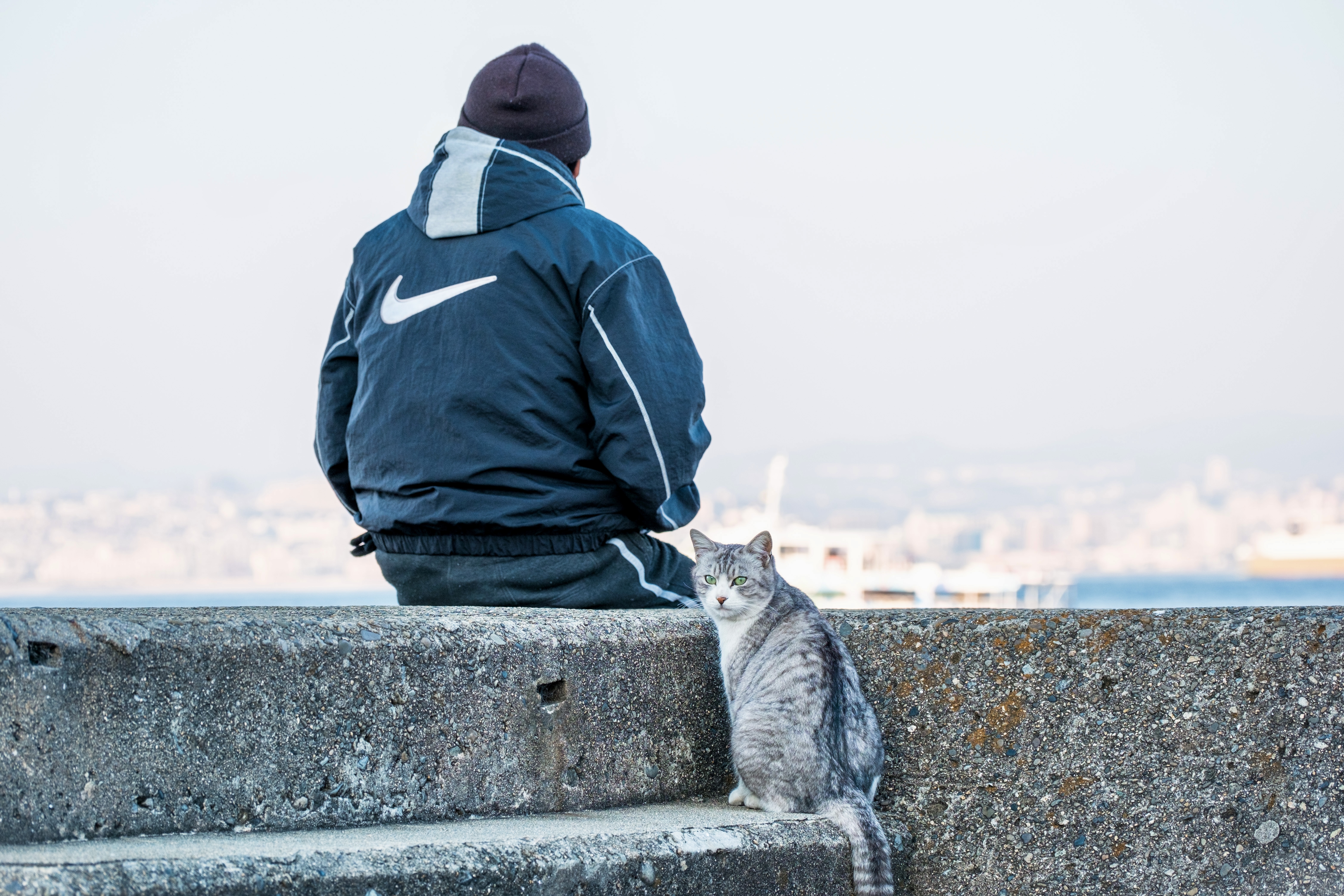 Akashi Strait, Liner, Port Cat