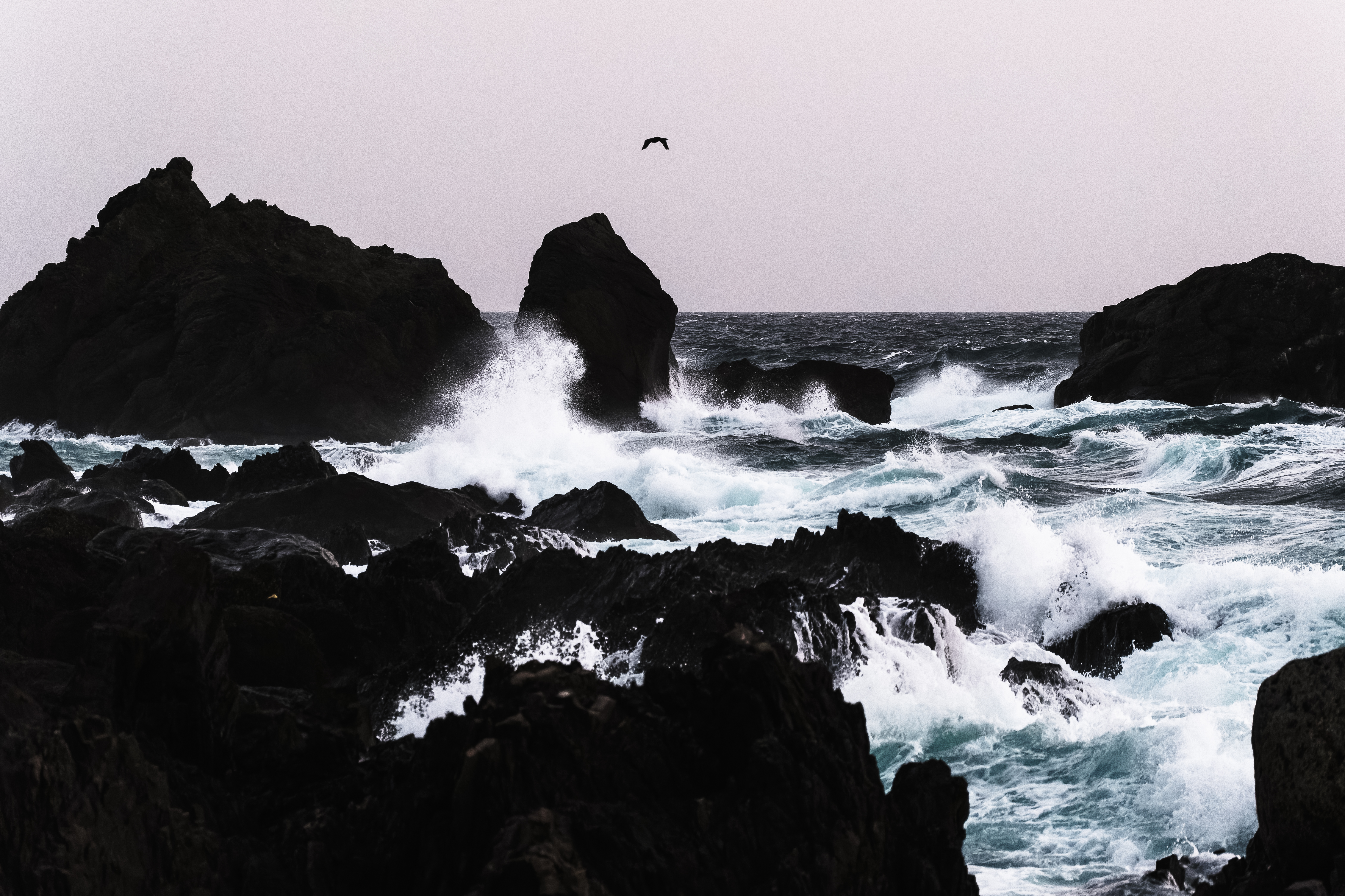 Placeholder Photo 10