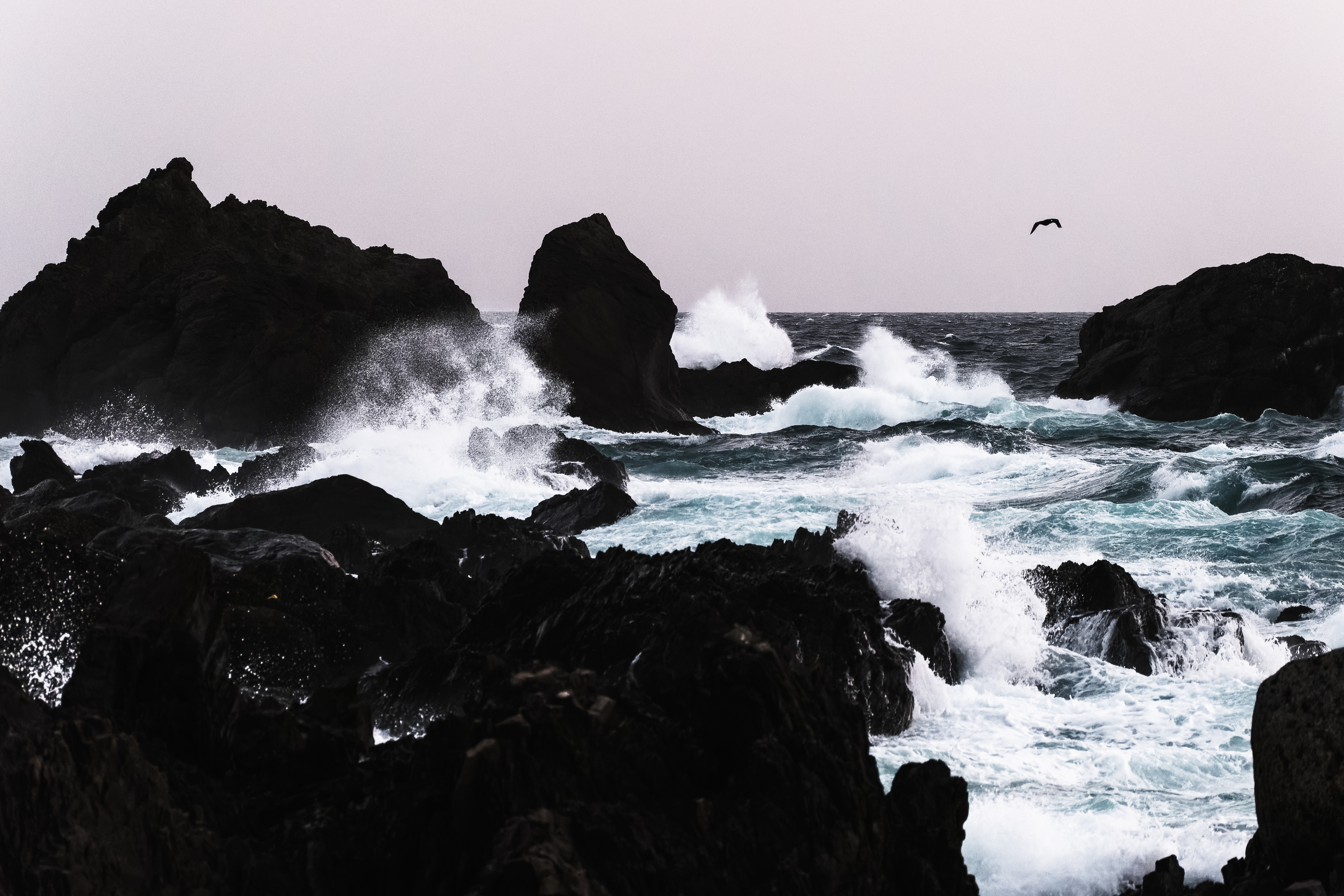 Placeholder Photo 11