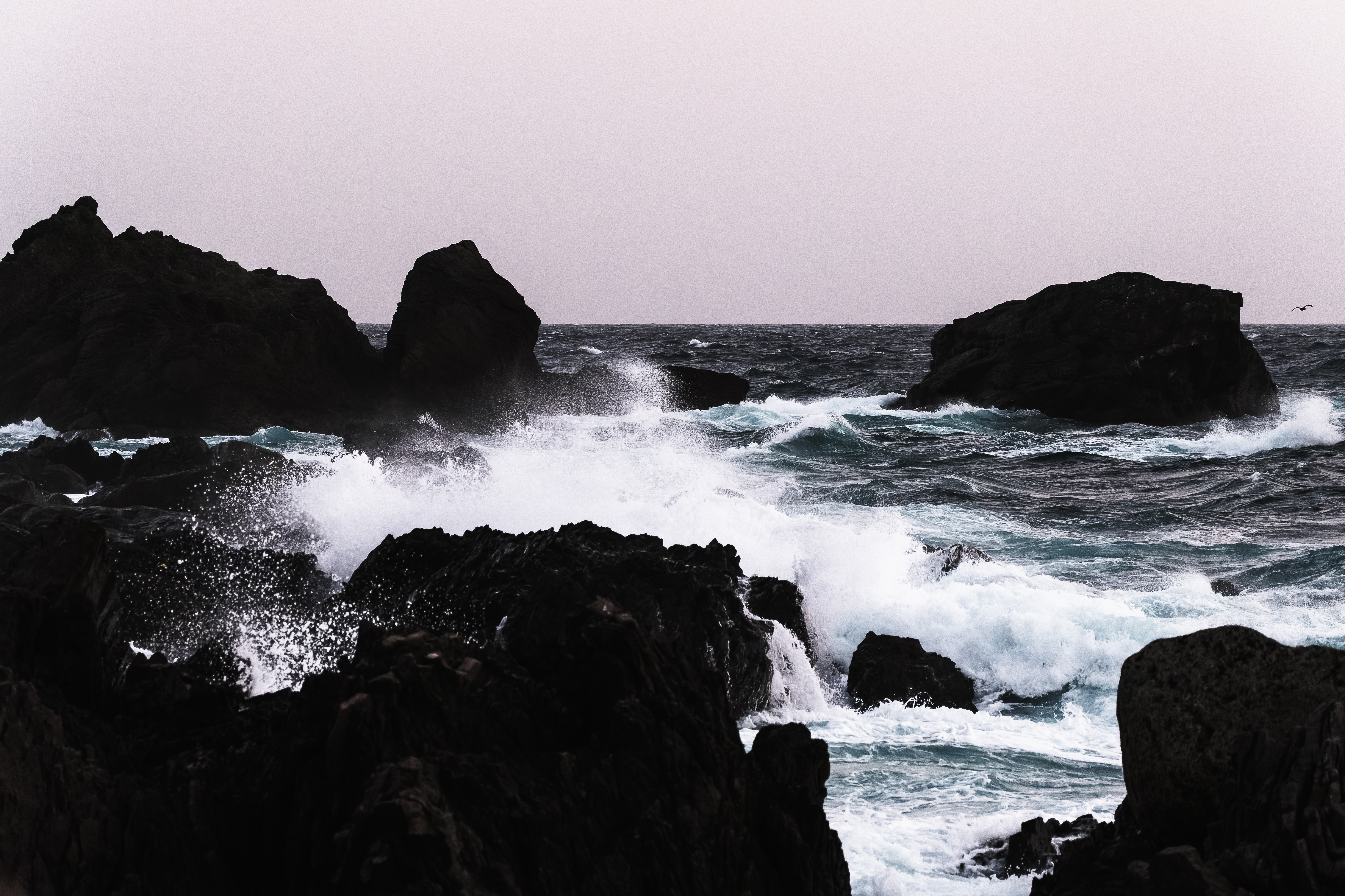 Placeholder Photo 12